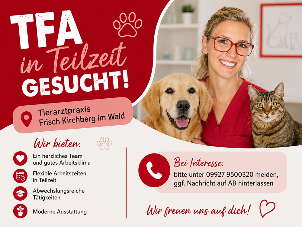 TFA in Teilzeit gesucht